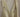Licia Florio Elegant White Tea Halterneck Dress Licia Florio