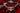Dolce & Gabbana Red Silk Crystal Roses Shorts Dolce & Gabbana