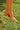 Sapato PRADA Sapatos Nahim - Luxury Wardrobe