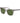 Replay Gray Plastic Sunglasses