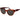 Replay Brown Plastic Sunglasses