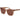 Replay Brown Plastic Sunglasses