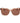Replay Brown Plastic Sunglasses