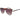 Guess Multicolor Plastic Sunglasses