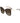 Missoni Brown Plastic Sunglasses