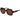 Replay Brown Plastic Sunglasses