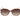 Guess Multicolor Plastic Sunglasses