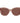 Max Mara Brown Plastic Sunglasses