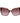 Marciano by Guess Brown Acetate Sunglasses