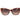 Marciano by Guess Brown Acetate Sunglasses