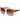 Guess Beige Acetate Sunglasses