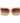 Guess Beige Acetate Sunglasses
