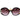 Guess Brown Acetate Sunglasses