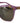 Dolce & Gabbana Purple Acetate Sunglasses