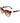 Guess Brown Plastic Sunglasses