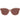 Max Mara Brown Plastic Sunglasses