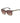 Guess Brown Resin Sunglasses