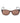 Guess Brown Resin Sunglasses