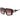 Just Cavalli Brown Acetate Sunglasses