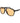 Champion Brown Stainless Steel Sunglasses