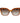 Ferragamo Brown Injected Sunglasses