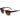 Lacoste Brown Injected Sunglasses