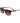 Lacoste Brown Injected Sunglasses