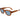 Lacoste Brown Injected Sunglasses