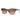 VOGUE Brown Resin Sunglasses