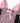Roberto Cavalli Black Pink Floral Lace Lingerie Top Underwear