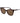 Polaroid Brown Polycarbonate Sunglasses