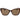 Polaroid Brown Polycarbonate Sunglasses