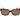 Polaroid Brown Polycarbonate Sunglasses