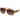 Polaroid Brown Polycarbonate Sunglasses