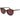 Polaroid Brown Polycarbonate Sunglasses