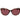 Polaroid Brown Polycarbonate Sunglasses