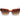 Replay Purple Plastic Sunglasses