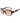 Guess Brown Acetate Sunglasses