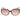 Guess Brown Acetate Sunglasses