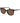 Polaroid Brown Plastic Sunglasses