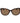Polaroid Brown Plastic Sunglasses