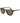 Polaroid Brown Plastic Sunglasses