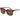 Polaroid Multicolor Plastic Sunglasses