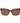 Polaroid Multicolor Plastic Sunglasses