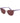 Polaroid Purple Plastic Sunglasses