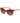 Polaroid Brown Plastic Sunglasses