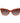Polaroid Brown Plastic Sunglasses