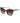 Polaroid Bicolor Plastic Sunglasses