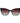 Polaroid Bicolor Plastic Sunglasses