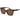 Polaroid Brown Plastic Sunglasses